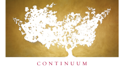 Continuum
